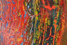 A1_50x70_d1_DSC01718