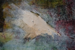 A51_50x70_d3_DSC03565