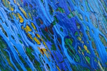 A6_50x70_d3_DSC01761