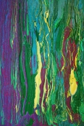 A80_30x50_d1_DSC04545