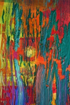 A81_30x50_d2_DSC04528