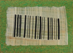 Barcode_41x30_DSC03743_1