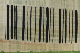 Barcode_41x30_d1_DSC03745