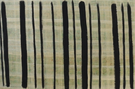 Barcode_41x30_d3_DSC03749