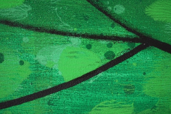 Leaf_100x150_d1_DSC02082