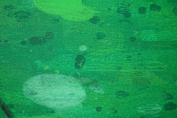 Leaf_100x150_d2_DSC02083
