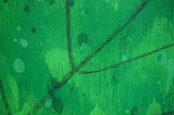 Leaf_100x150_d3_DSC02084