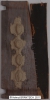 DSC00016
