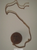 DSC00891