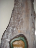 DSC04336
