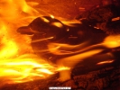Phoenix_1