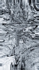 cameringo_20191006_113322