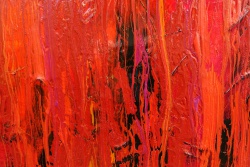 red_60x80_d1_DSC01728