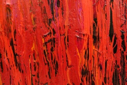 red_60x80_d2_DSC01729