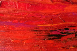 red_60x80_d3_DSC01730