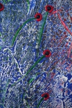 Spring_50x35_d4_DSC03721