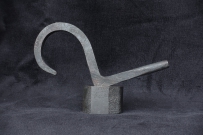 Swan-Snail_1_125x88_DSC04297