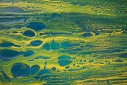Underseas_3_70x100_d7_DSC03900