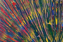 U15_50x70_d6_DSC02759