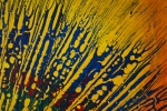 U16_60x80_d4_DSC02750