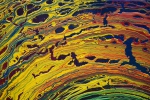 U18_50x70_d1_DSC03033