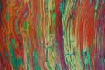 U4_100x150_d6_DSC02109